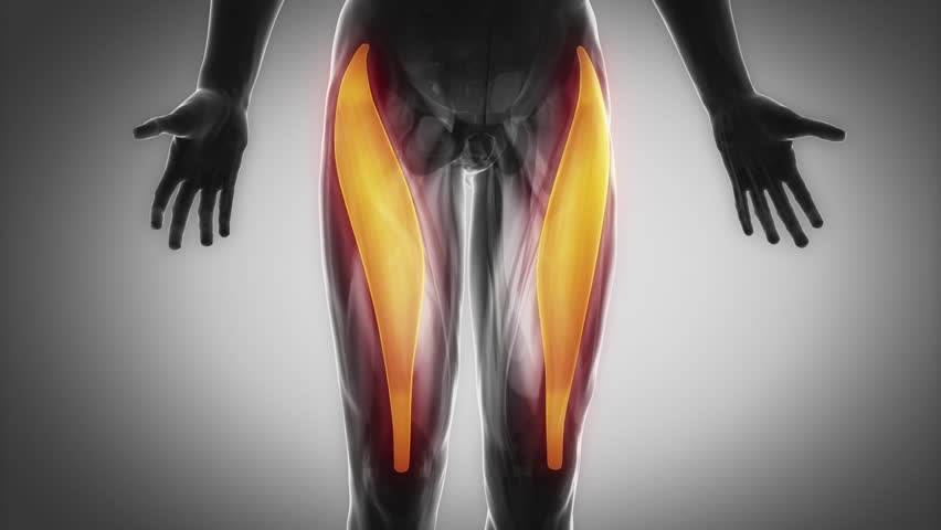 宗像整体−福津整体−膝痛−変形性膝関節症−ヒアルロン酸注射